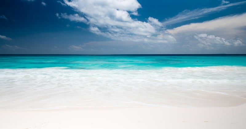 Les Seychelles, un trésor de biodiversité unique à préserver